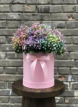 Цветочная композиция из Гипсофила и Розы в шляпной коробке #REPLACE_PRED# Волжанце
