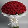 Букет 101 Красная роза Блэк Мэджик в Волжанце