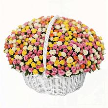 Премиум букет из: Розы в Волжанце