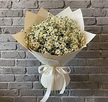 Букет цветов из:  Ромашки в Волжанце