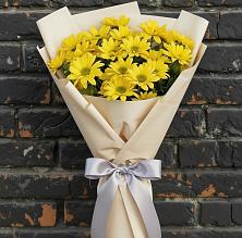 Букет цветов из:  Хризантемы #REPLACE_PRED# Волжанце
