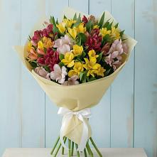 Букет цветов из:  Альстромерии в Волжанце
