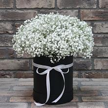 Цветочная композиция из Гипсофила в шляпной коробке в Волжанце